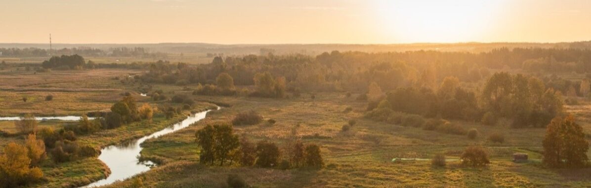 Wycieczki do lasów to doskonała okazja do bezpośredniego kontaktu z naturą i poznawania przyrody w praktyce. Uczestnicy uczą się rozpoznawania roślin i zwierząt, a także zasad ochrony środowiska. To idealne połączenie edukacji, aktywności i odpoczynku na świeżym powietrzu.